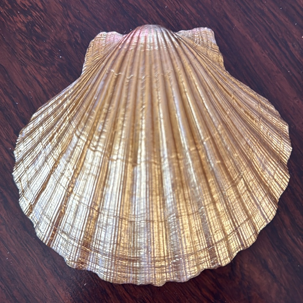 Decorative Shell with Red Cardinals - Picture 3 of 3